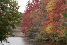 Fall Foliage Tour
